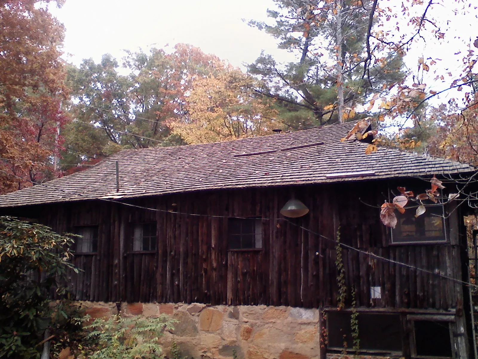 Weathered wood shake roof on a rustic board sided cabin in Nunn