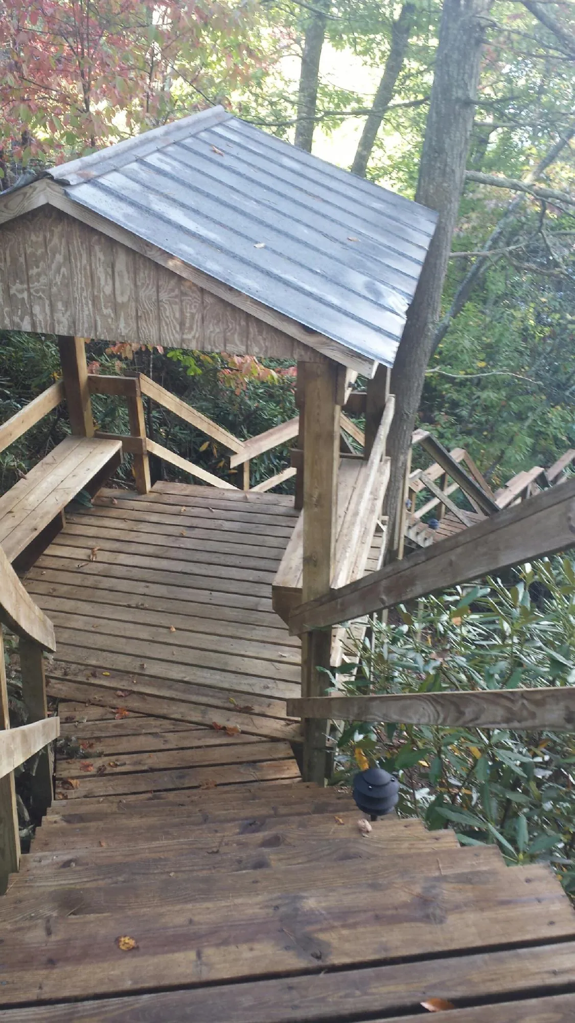 Metal roofed shelter over wooden steps on a wooded walkway — Skylight Repair & Installation work by our crew in Nunn